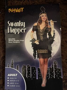Spirit Black and Gold Flapper Dress Costume